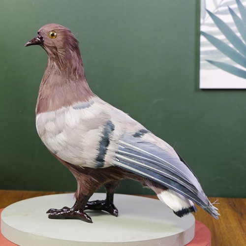 Simulation pigeon model - model, dove