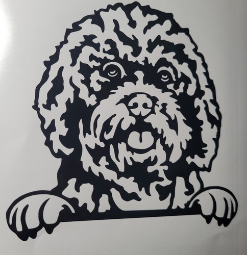 Cavapoo dog decal - cavapoo,