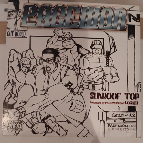 Pacewon sunroof top vinyl - pacewon,