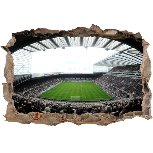 Newcastle stadium removable - newcastle,