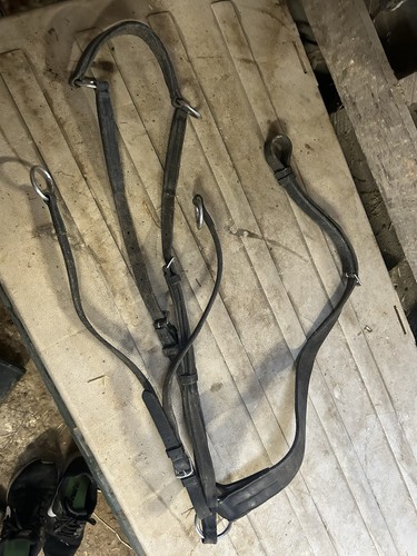 Cob martingale - cob,