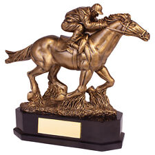 EQUESTRIAN RACE HORSE AWARD