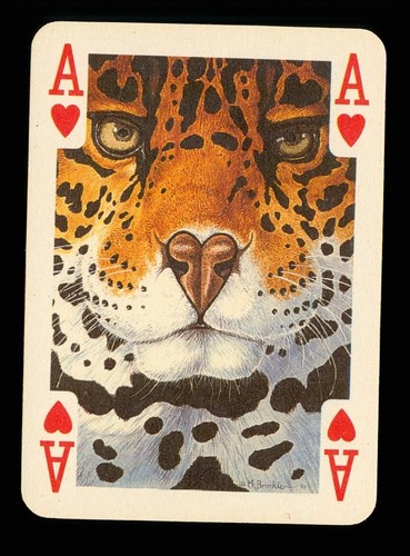 Playing card by - x,