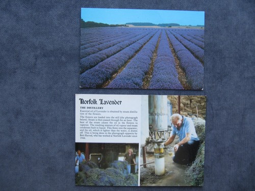 Postcards norfolk - 2, of