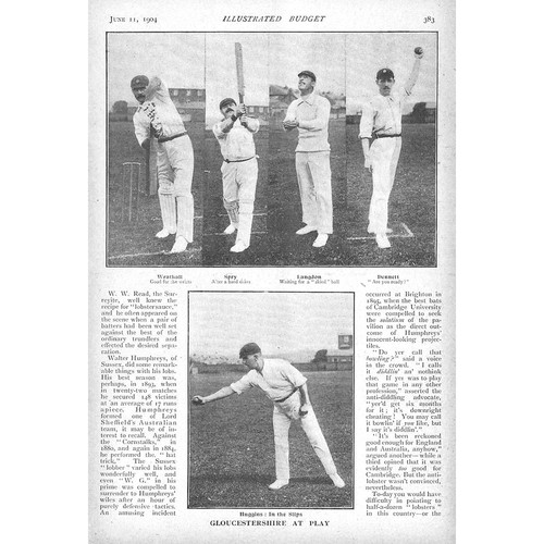 Cricket players - players, of