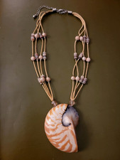 Vintage Nautilus Shell