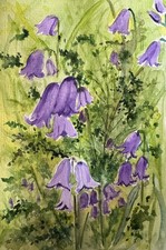 Original Watercolour Painting 