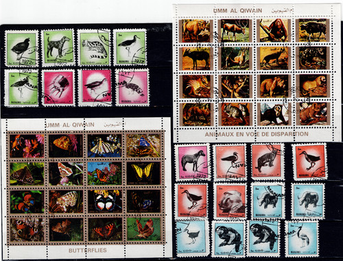 Ajman collection various - ajman,