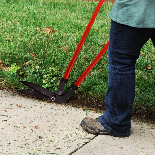 Long handled gardening grass - gardening,