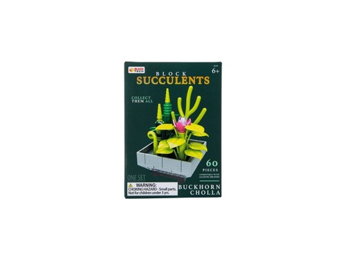 Blok tech blocks succulents - tech,