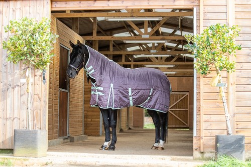 200g stable horse pony rug - 200g,