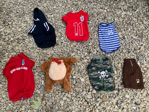 Bundle little dog dressing - of,
