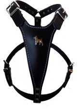 Beautiful black leather dog - black,