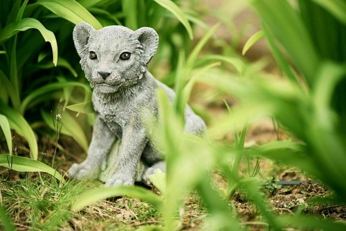 Stone figure lion cub cast - lion,