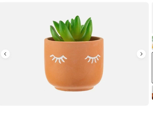 Sass and belle mini - sass, planter