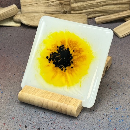 Fused art glass coasters - art,