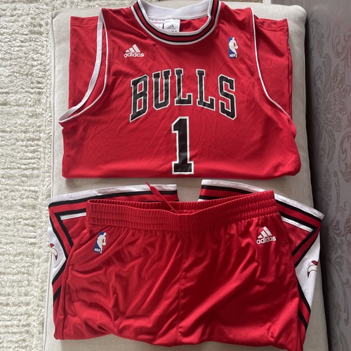 Chicago bulls nba basketball - chicago,