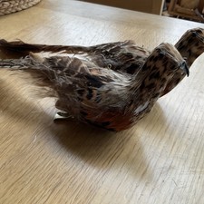Pheasants X 2 With Clip To Go On Branch