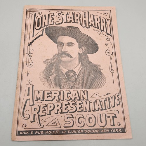 Antique dime store novel 1893 - novel,