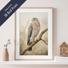 Wild Bird Print – 38