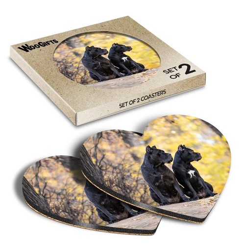Heart mdf coaster cane corso - mdf,