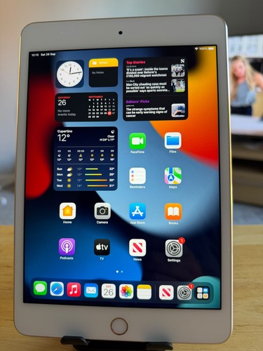 Apple ipad mini 128gb - mini,