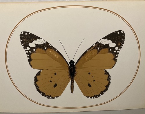 Vintage 1970s boho butterfly - vintage,