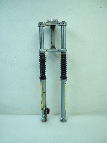 Malaguti grizzly 12 rcx - -,