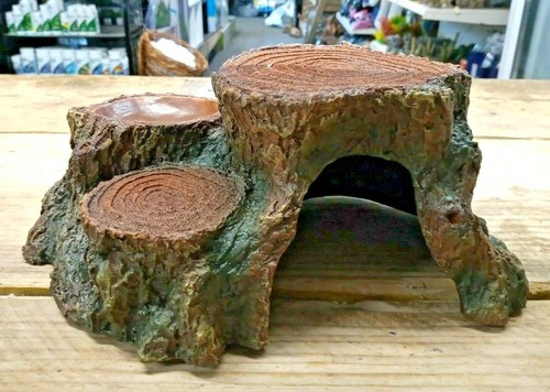 Gecko reptile lizard wood - gecko,