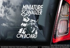 Miniature Schnauzer - Car