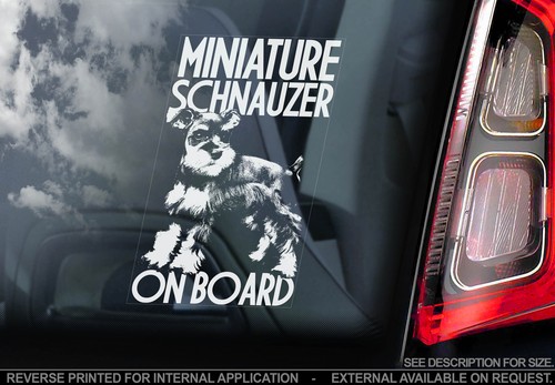 Miniature schnauzer car - miniature,