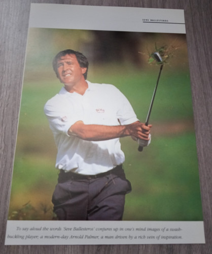 Swash buckling player seve - player,