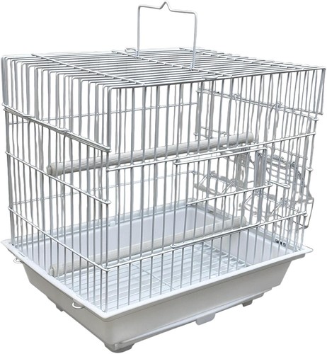 Travel friendly small - small, bird