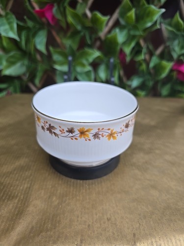 Vintage royal kent english - vintage,