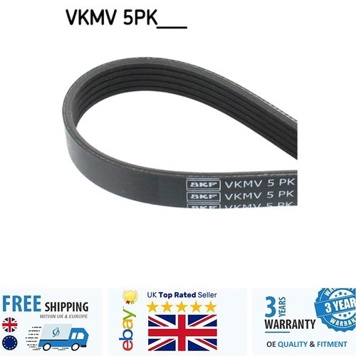Ribbed belt for toyota - for,