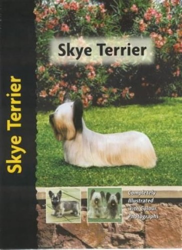 Skye terrier muriel - (pet, love)-muriel