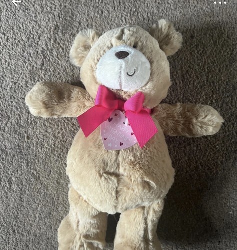 Valentine day bear plush - bear,