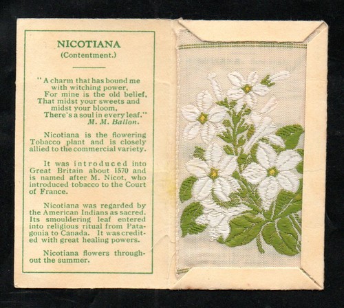 Kensitas wix cigarettes - kensitas,