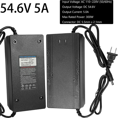 Smart charger dc - 54.6v, 5a