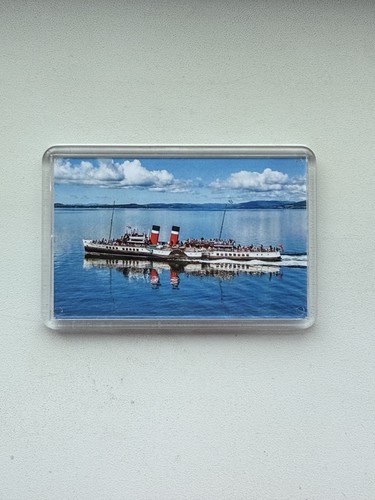 Fridge magnet paddle - fridge, steamer