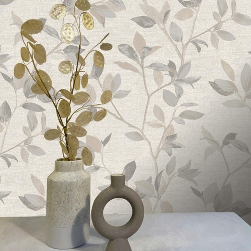 Rasch silver birch tree - rasch,