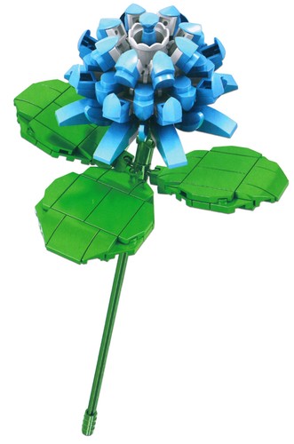 Blue clover wild flower - clover,