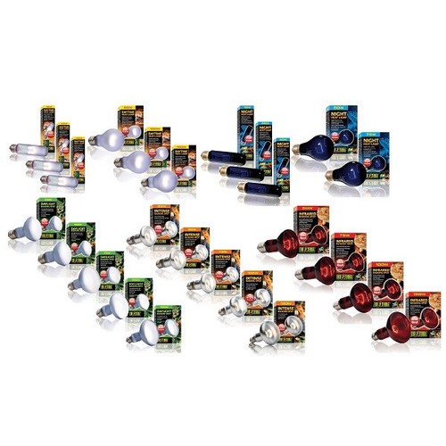 Exo terra reptile heat bulb - reptile,