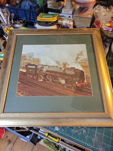 Beautiful large print - print, steam