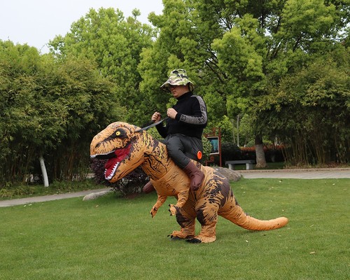 Rex inflatable costume - rex,