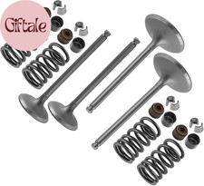 Exhaust and Intake Valve Kit