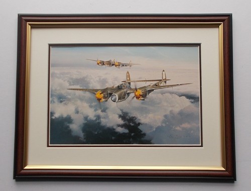 X17 aircraft print framed - 13"x17",