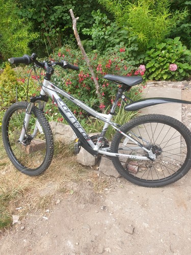 Carrera centos mountain bike - mountain,
