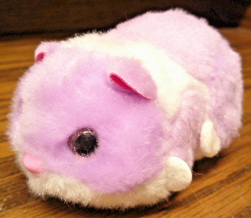 2023 purple zuru - 2023, pets