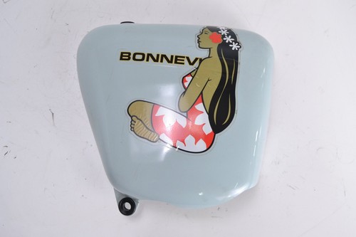 Right side fairing - , triumph